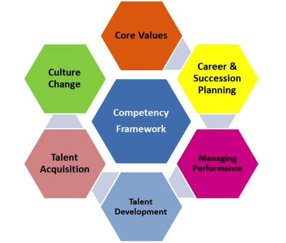 Competency Framework Delivery